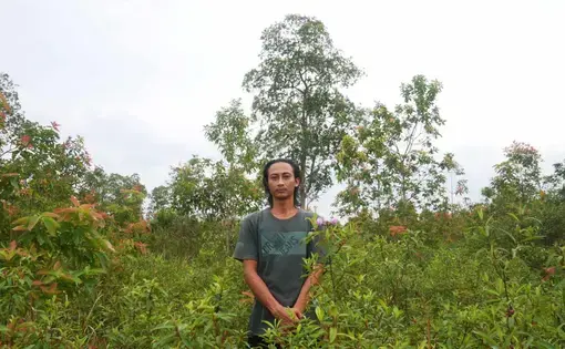 Arum is one of the people of Dusun Tanjung Tirto, Bungur Village who is participating in forest restoration efforts together with the Auriga Foundation.