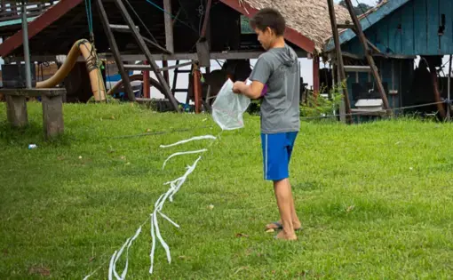 a child holds a kite