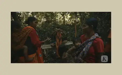 people in a. forest