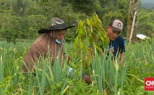 Two rural workers plant together