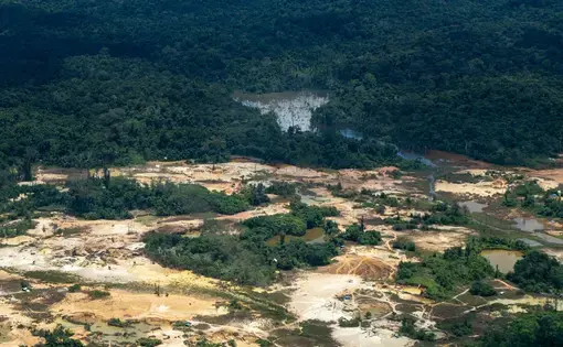 gold mining in Brazil