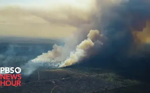 A huge billow of smoke rises from a dense, verdant forest. The image is taken from the air.