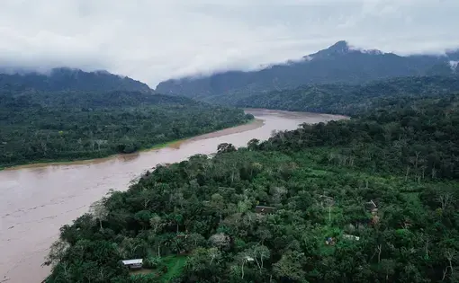 a river in the Bolivian amazon