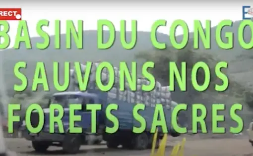 ECHOS 237 OFFICIEL