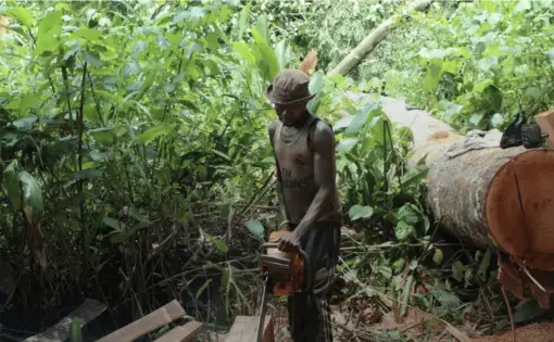 Image courtesy of InfoNile. Congo, 2022.
