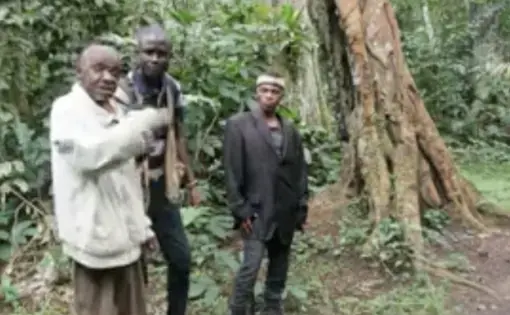 LES FORÊTS SACREES, UN MODÈLE DE PRÉSERVATION DE LA BIODIVERSITÉ.