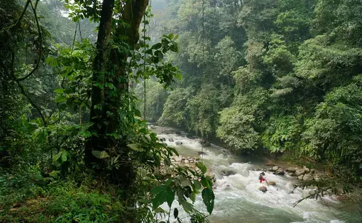 Indonesian rainforest and river.