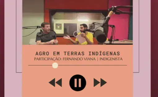 Agro em terras Indigenas