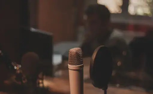 a microphone and a person in the background