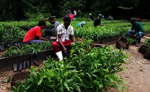 Image by Journal Karibu. Democratic Republic of the Congo, 2022.
