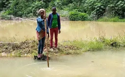 Image courtesy of Sciences Watch Info. Congo (Brazzaville), 2022.