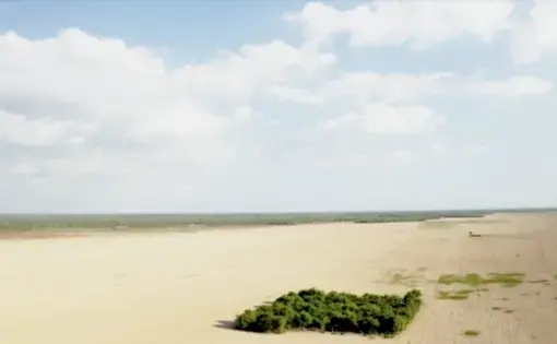 La deforestazione cambogiana