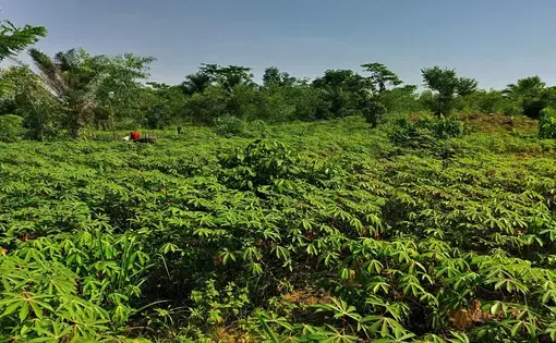 Image by Journal Karibu. Democratic Republic of the Congo, 2022.
