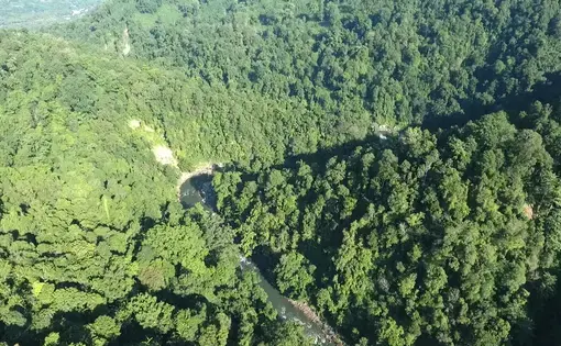 Collaborative Ecosystem Restoration