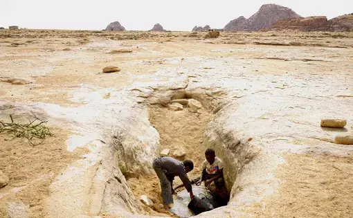 Two boys dip buckets into a dry hole in search of water.