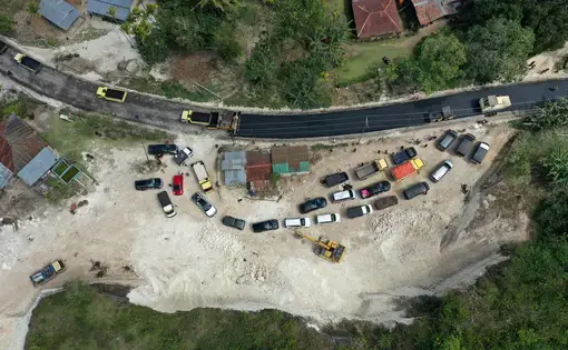 cars and trucks in a rainforest