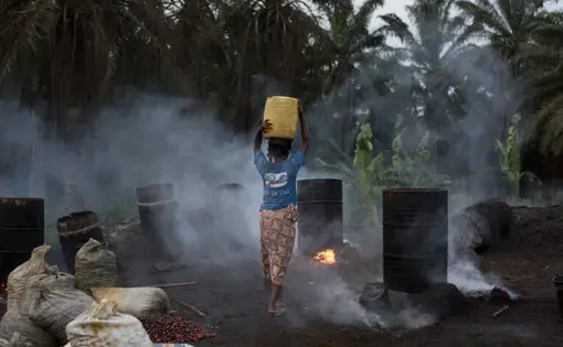 a woman going through a forest on fire