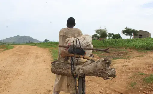 a person with wood