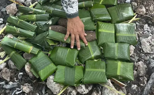 Leaf packets stuffed with tubers are being roasted for eating.