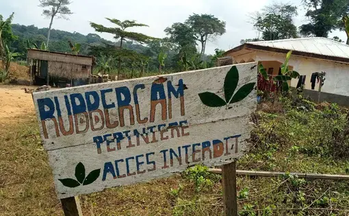 A crooked signboard.