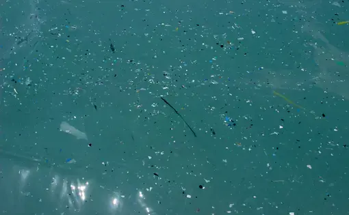 Microplastics in the Mediterranean Sea