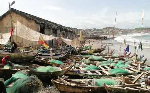 About fifty small fishing boats with green nets line a beach.