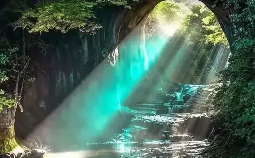 A stream running through a lush green, Amazon rainforest.