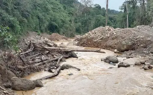 A murky river flows.