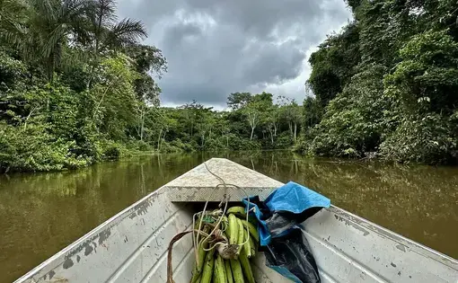 Lush walls of rainforest close in on the Yavarí river, between Peru and Brazil. In the past years, Indigenous people have seen illegal loggers and miners, oil prospectors, and carbon cowboys encroaching on their lands.