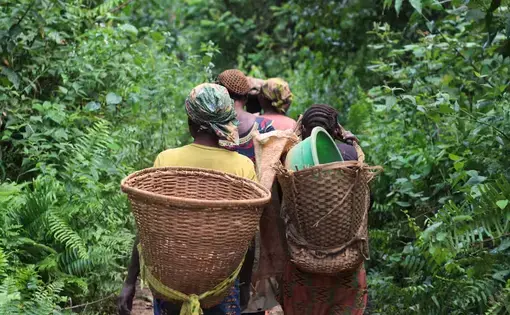 Women carry straw baskets on their backs.