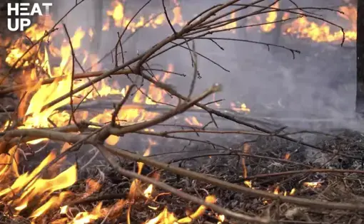 Wildfire consumes barren bushes in its flames.
