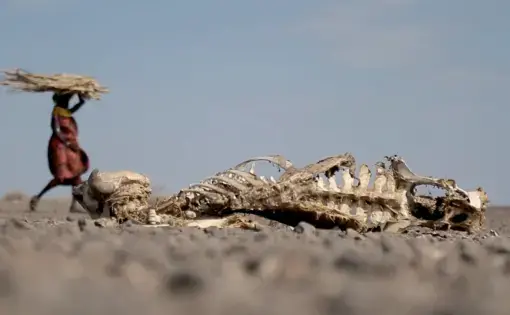 A woman walks in the scorching sun in the backdrop of a decaying carcass.