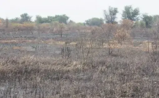 A dry, barren field.
