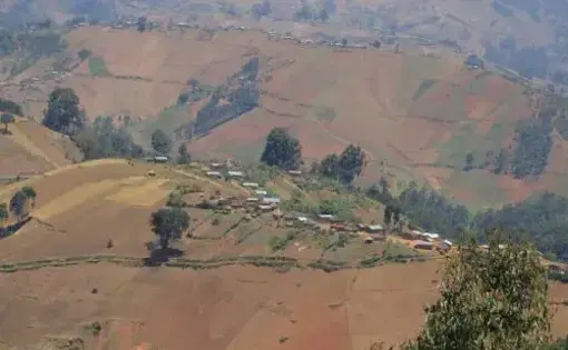 A farmland.