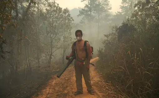 A man stands amongst the trees with a hazy backdrop.