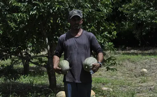 A cada ano as mudanças climáticas impactam o modo de vida das populações da Amazônia. Sejam pelas enchentes extremas ou pelas secas também extremas, as comunidades urbanas e rurais da região sentem os efeitos destas alterações - que passaram a acontecer com mais severidade e frequência. E o Acre é um dos estados brasileiros mais afetados pelos eventos climáticos extremos. Dentro deste cenário, as comunidades rurais e ribeirinhas parecem sentir com mais intensidade as alterações nos ciclos de chuvas e de est