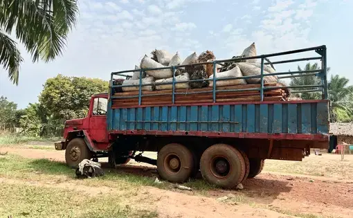 A red and blue truck carrying a load of logs.
