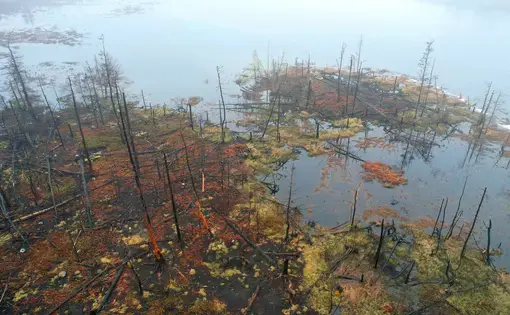 CanadianWildfires (thumbnail)