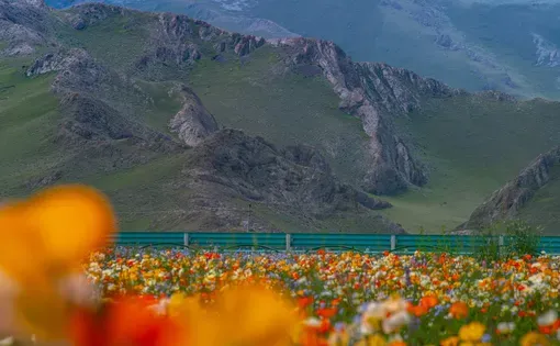 ADangerousEscape