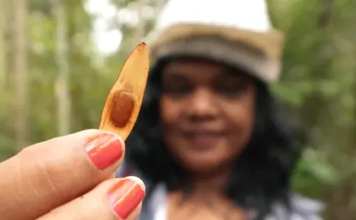 a woman holds a seed pod in the Amazon rainforest