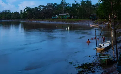 New Amazonia thumbnail