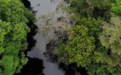 Defenders of the Sacred Hills (Portuguese) | Rainforest Journalism Fund