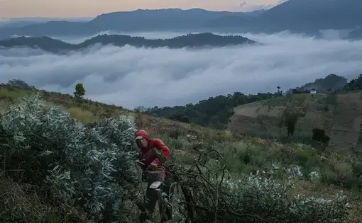 In the highlands of western Guatemala, in an area affected by deforestation, a man cuts firewood for cooking. Image by Mauricio Lima. Guatemala, 2019.