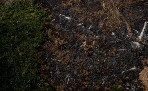 Region of deforested forest in the Acrean Amazon. Image by Marcio Pimenta. Brazil, 2019. 