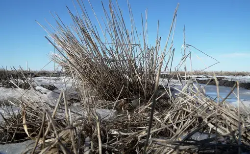 Wet winters and rain on top of frozen ground are setting up new challenges for spring planting. Image by Brad Van Osdel / South Dakota Public Broadcasting. United States, 2020.