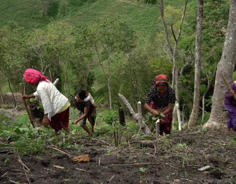 A Journey Through Contested Lands: Philippines  Rainforest Journalism Fund