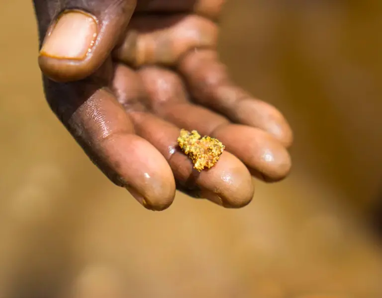 La gran barata del oro en el Sur de Venezuela: compre un gramo y el otro le  sale gratis | Rainforest Journalism Fund