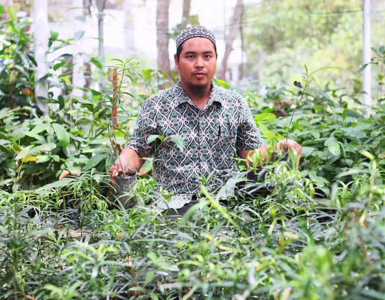 Mengobati Sakit Pinggang dengan Durian, Cempedak untuk ...