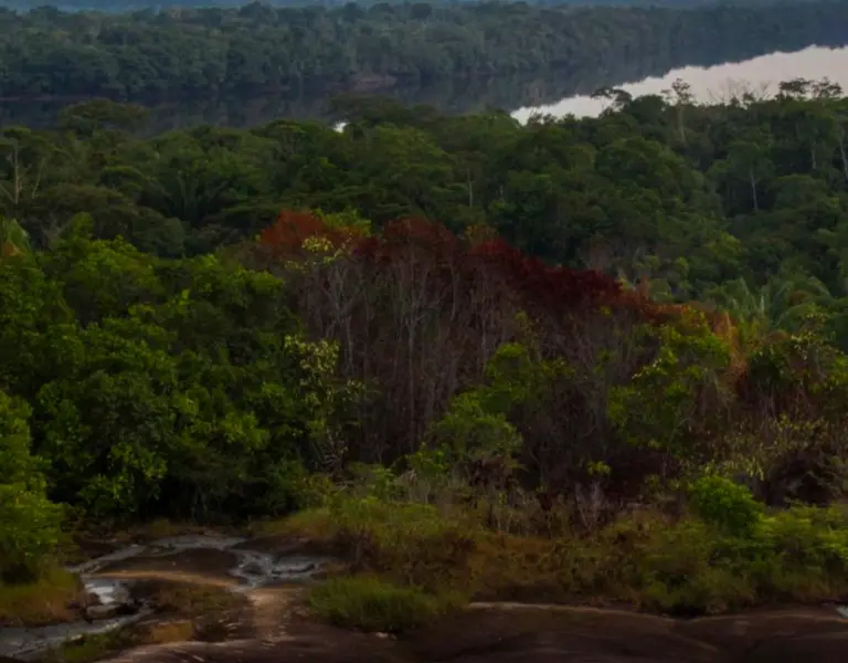 Colombian Forests Under Pressure | Rainforest Journalism Fund