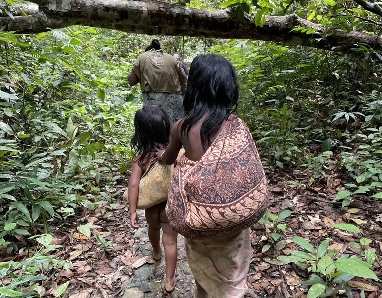 Orang Rimba, Guardians of Bukit Duabelas | Rainforest Journalism Fund